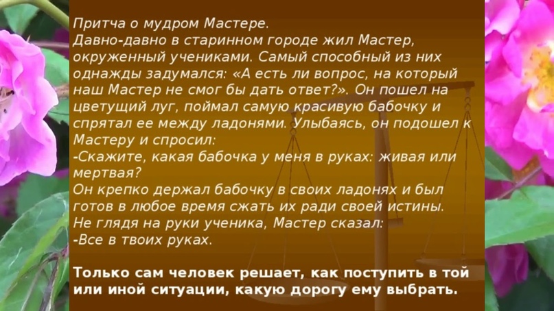 Однажды я принес на работу бездомного щенка, ...и полетели к моим ногам человеческие маски... животные,Истории из жизни,отношения