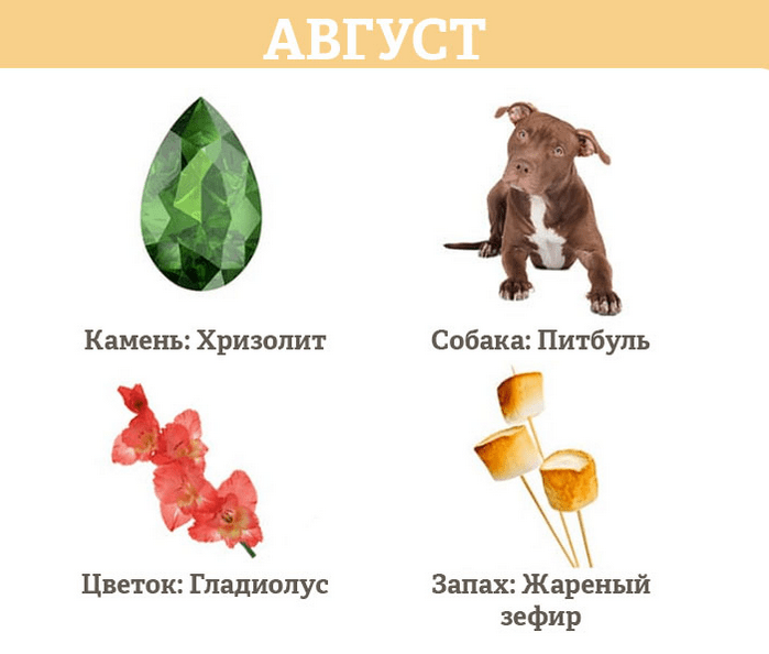 Гороскоп на авуст