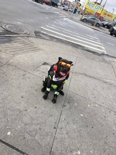 Прикольные картинки Прикольные картинки из сети, прикол, юмор