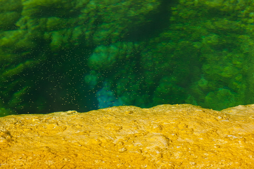 Озеро Утренней Славы (Morning Glory Pool) в национальном парке Йеллоустоуна (Yellowstone National Park). Фото с сайта NewPix.ru