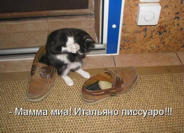 Картинки по запросу Веселые и позитивные картинки с надписью