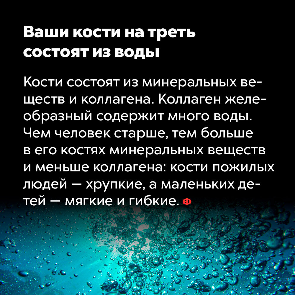 7 занимательных фактов для тех, кому всегда мало фактов интересные факты,мир,наука