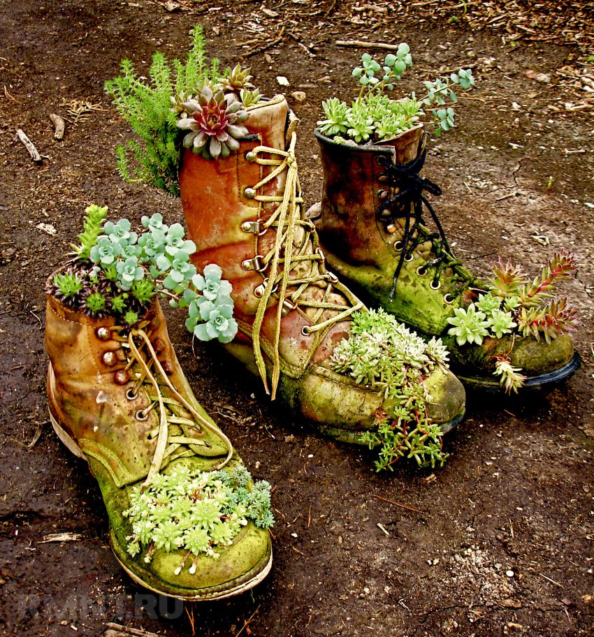 Обувь для сада