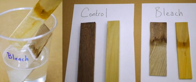 Влияние различных жидкостей на древесину Влияние различных жидкостей на древесину советы