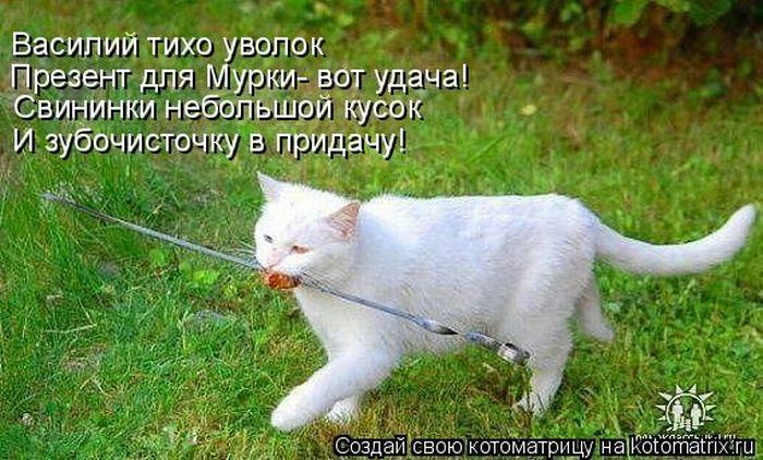Мысли вслух :)
