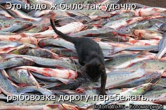 Мысли вслух :)