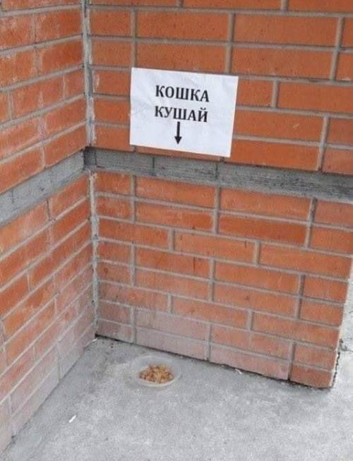 Пусть он ходит везде с тобой, там поймешь, кто такой..) веселые картинки