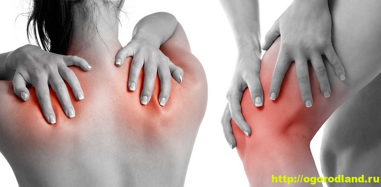 ÐÐ°ÑÑÐ¸Ð½ÐºÐ¸ Ð¿Ð¾ Ð·Ð°Ð¿ÑÐ¾ÑÑ 5 Ð½Ð°ÑÑÑÐ°Ð»ÑÐ½ÑÑ ÑÑÐµÐ´ÑÑÐ² Ð´Ð»Ñ Ð»ÐµÑÐµÐ½Ð¸Ñ Ð°ÑÑÑÐ¸ÑÐ° Ð¸ Ð±Ð¾Ð»Ð¸ Ð² ÑÑÑÑÐ°Ð²Ð°Ñ