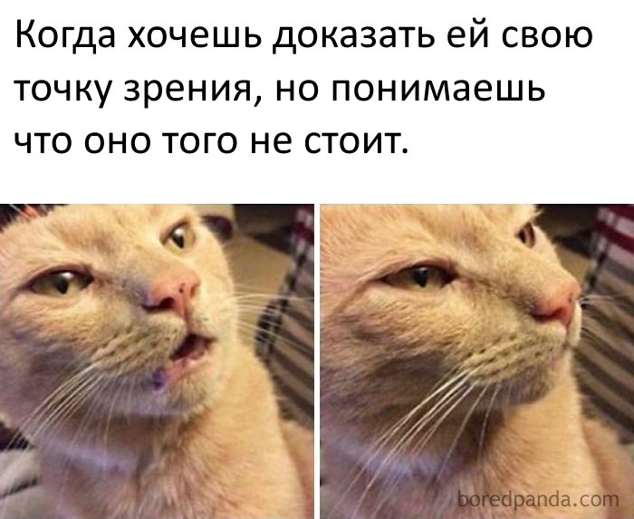 Подборка забавных фото из замужней жизни Подборка забавных фото из замужней жизни жизнь,курьезы,юмор