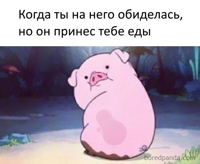 Подборка забавных фото из замужней жизни Подборка забавных фото из замужней жизни жизнь,курьезы,юмор