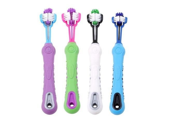 Чистка зубов собаке – выбор подходящего средства, правила чистки, особенности ультразвуковой процедуры наши любимцы,полезные советы