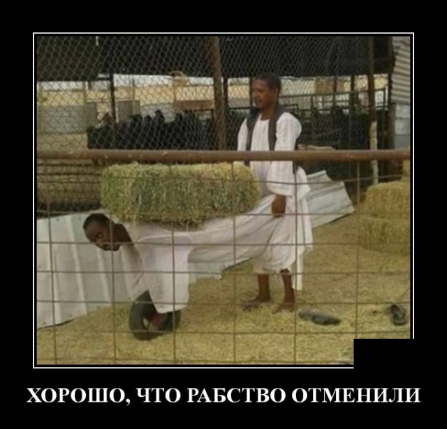 Подборка зачетных и забавных демотиваторов из сети для позитива Подборка зачетных и забавных демотиваторов из сети для позитива демотиваторы свежие,приколы,смешные демотиваторы,юмор