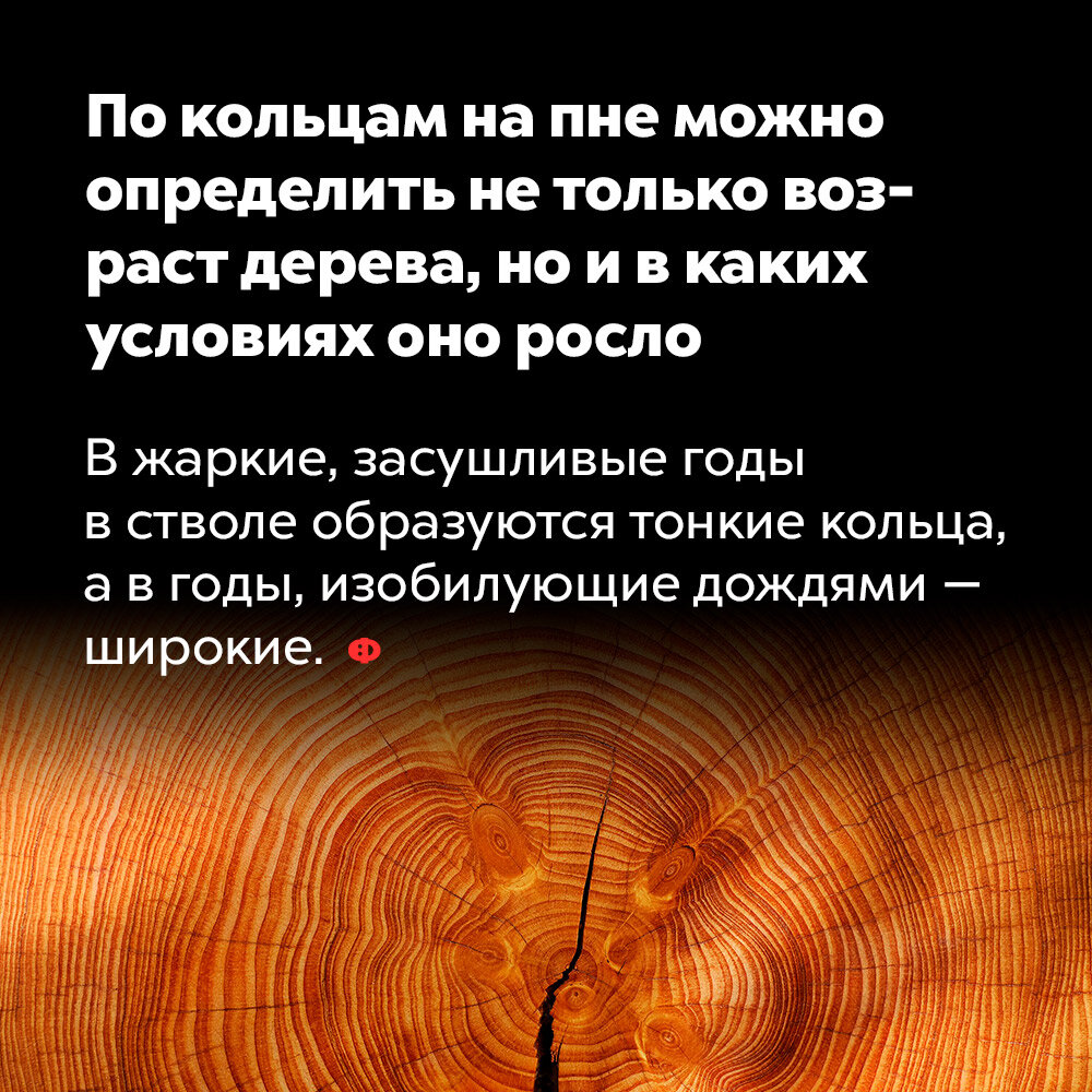 7 занимательных фактов для тех, кому всегда мало фактов интересные факты,мир,наука