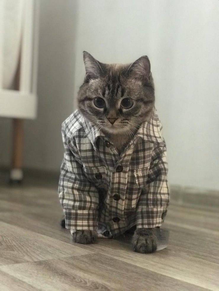 Подборка прикольных картинок.   приколы,смешные картинки,юмор