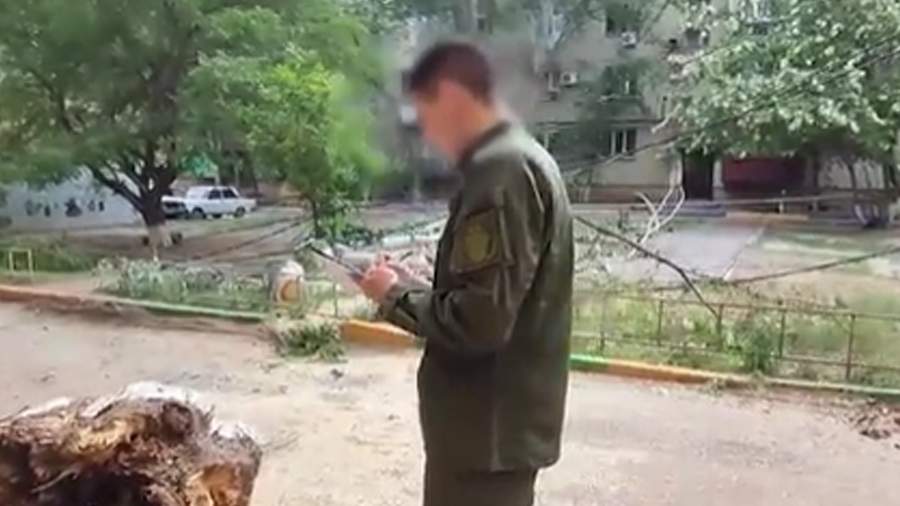 Семилетняя девочка умерла после падения на нее дерева в Астрахани