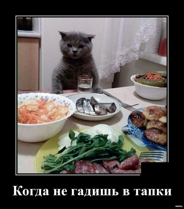 23 офигенных прикола в стиле «Когда...» 23 офигенных прикола в стиле «Когда...» смешные картинки