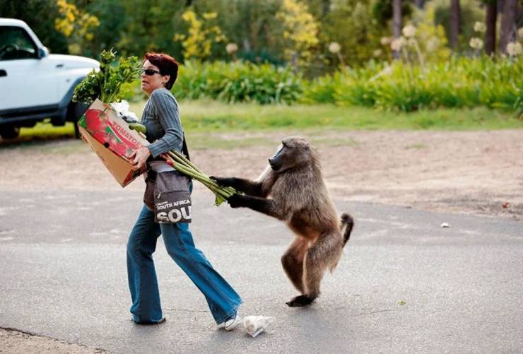 Подборка прикольных картинок Подборка прикольных картинок приколы,смешные картинки,юмор