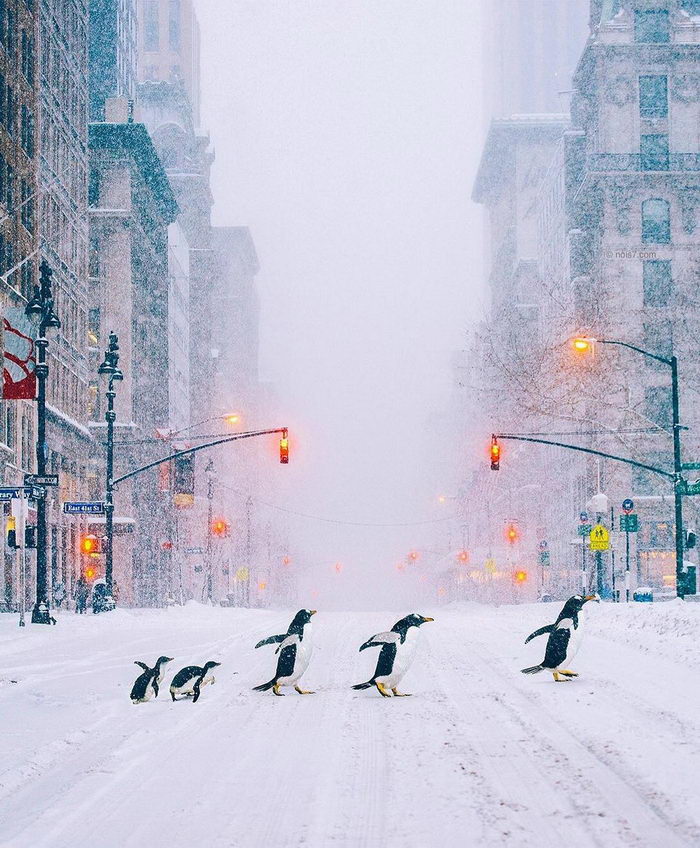 Необычные фотоманипуляции. Немного фотошопа и много фотографии Необычные фотоманипуляции. Немного фотошопа и много фотографии