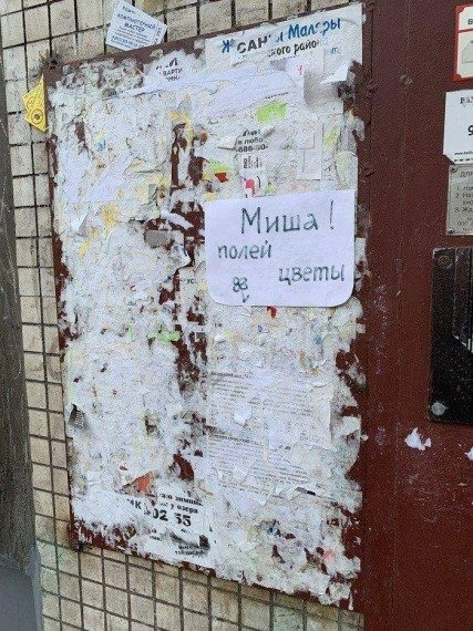 Смешные надписи и объявления Смешные надписи и объявления