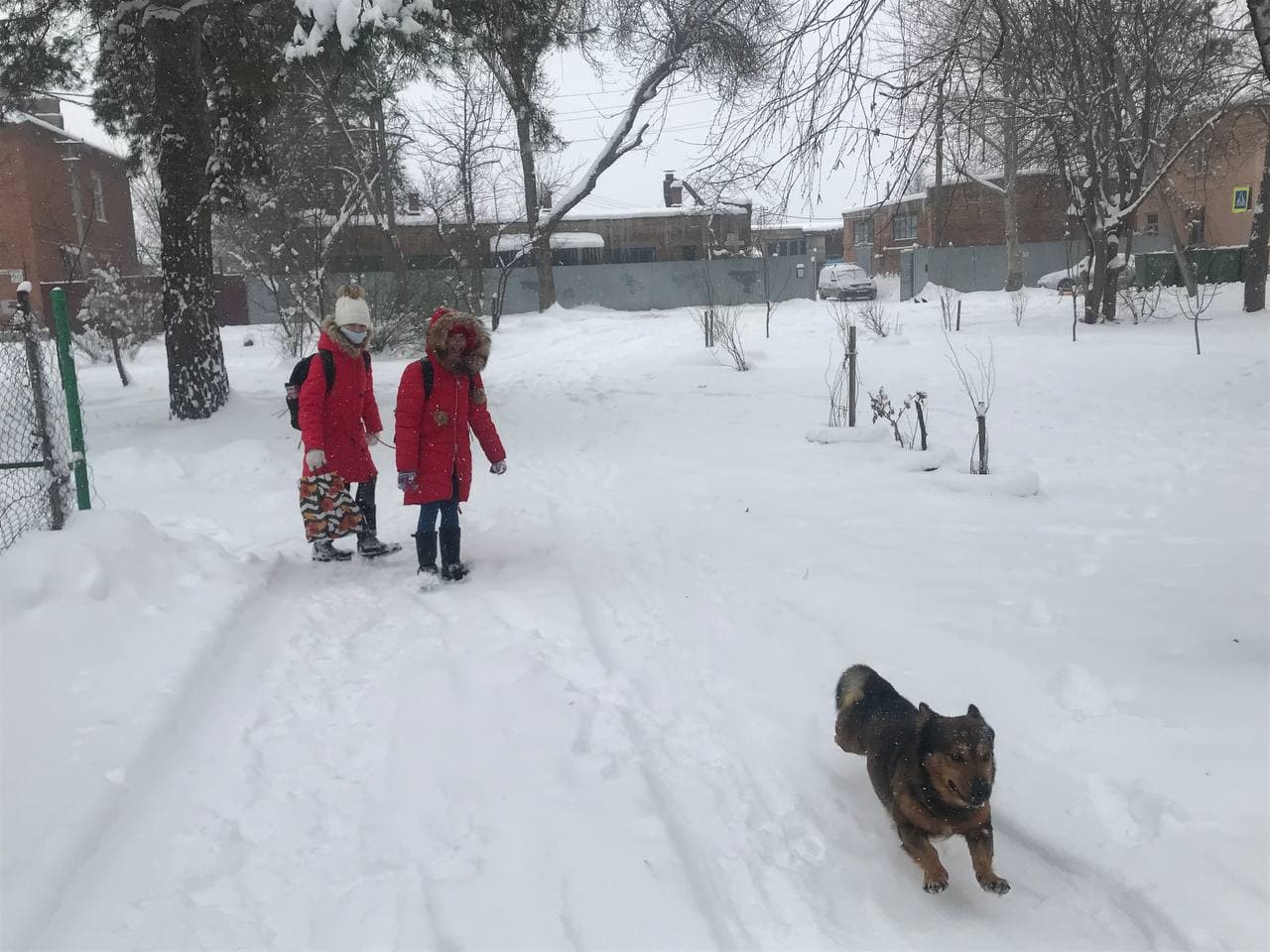 25 января в школах нескольких районов Краснодарского края опять будет выходной