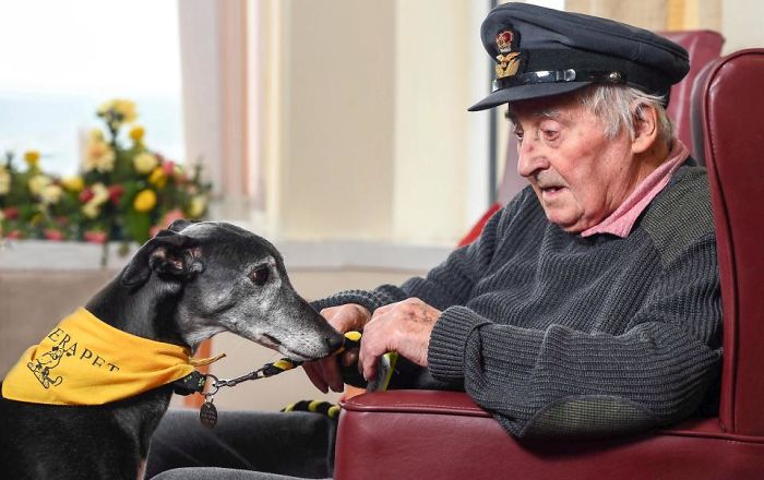 Assistance Dogs 1st Place Winner Alasdair Macleod, UK