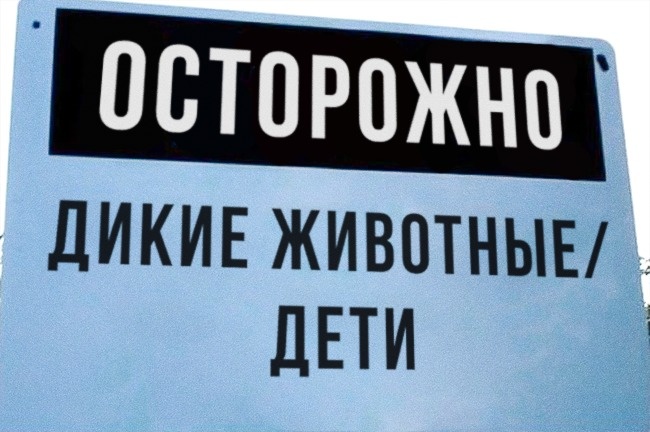 Гениальные объявления, мимо которых вы просто не сможете пройти история,прикол,юмор