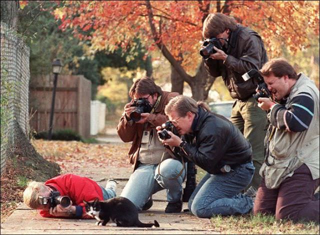 Фотографы и их работа интересное