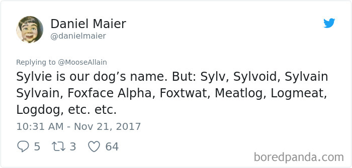 Funny-Pet-Name-Evolution