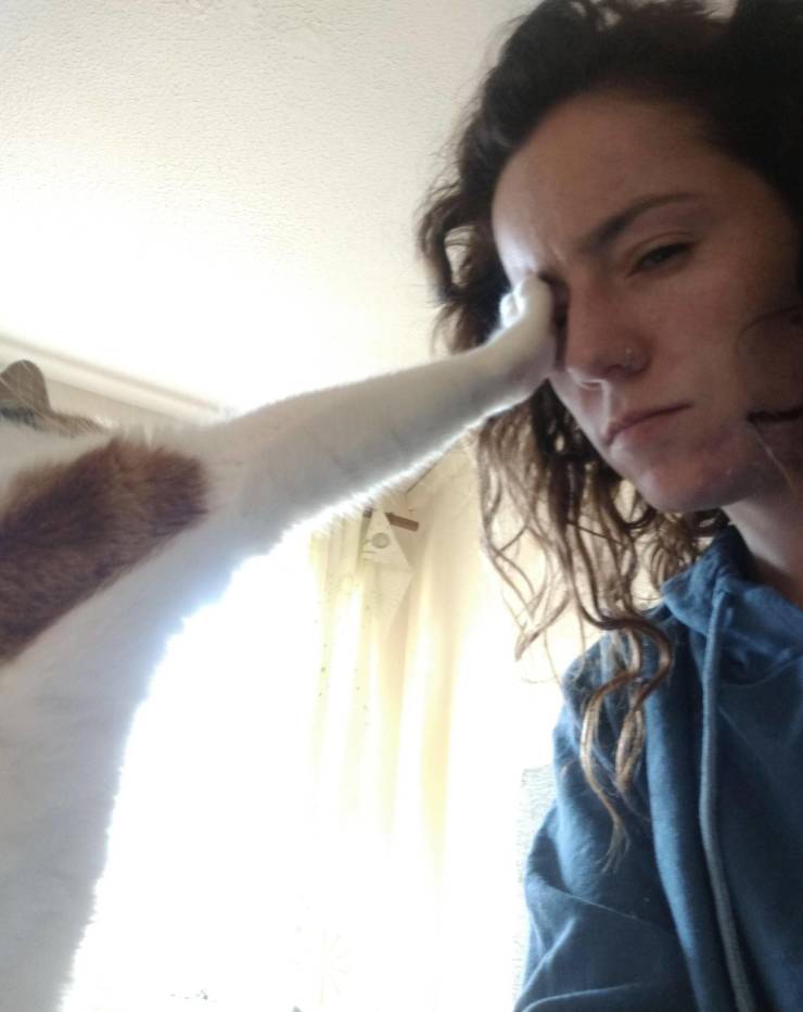 Подборка прикольных картинок  приколы,смешные картинки,юмор