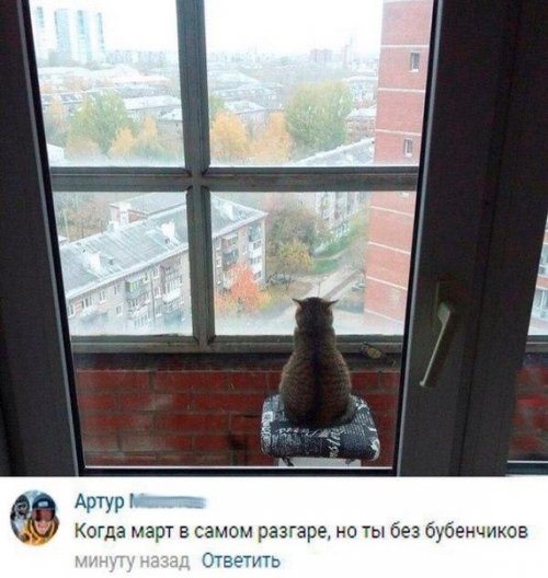 Прикольные комментарии из соцсетей (22 фото)