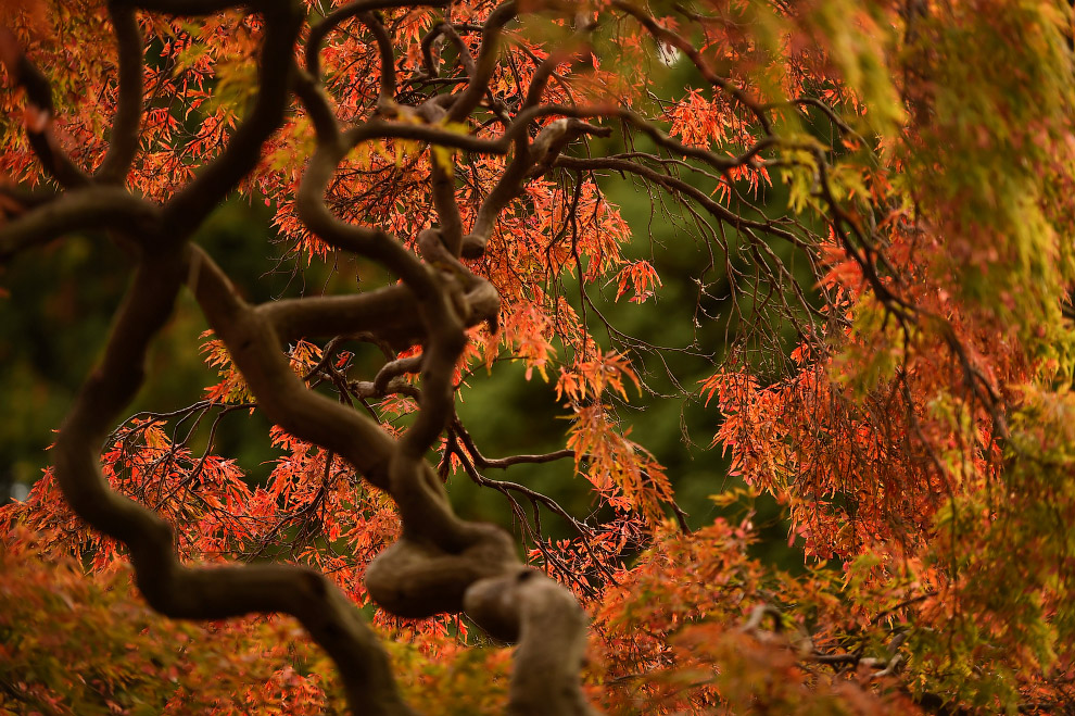 IRELAND-AUTUMN/