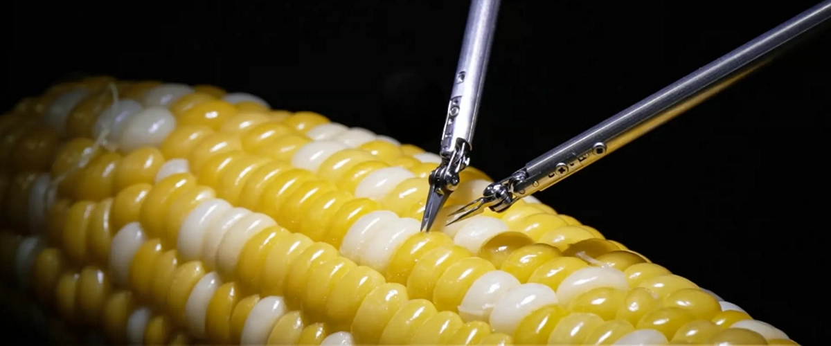 Робот-микрохирург Sony зашил порез на зернышке кукурузы