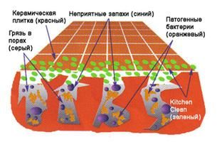 БИОКЕЙ- ОЗДОРОВЛЕНИЕ СРЕДЫ ОБИТАНИЯ ЧЕЛОВЕКА.                 ЧТО ЖЕ ТАКОЕ  ПРОБИОТИКИ (PIP ) ?  НЕ ВИЖУ РЕЗУЛЬТАТА.