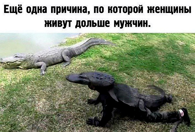 Весёлые шутки и приколы Весёлые шутки и приколы