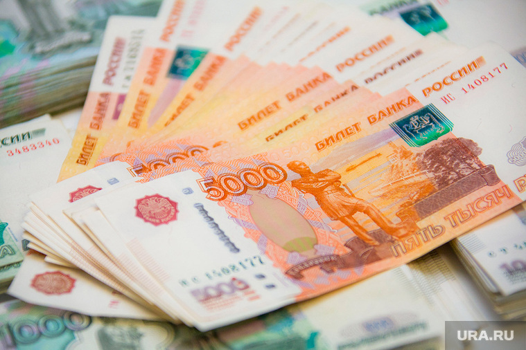 Правительство РФ призвали раздать гражданам по 25 тысяч рублей. «Мы дождемся голодных бунтов»