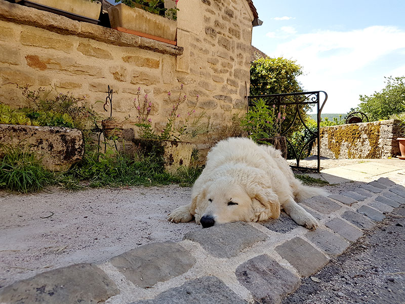 Бургундия. Шатонёф. Крошечная деревня с огромным старинным замком! Бургундия. Шатонёф. Крошечная деревня с огромным старинным замком! автотуризм