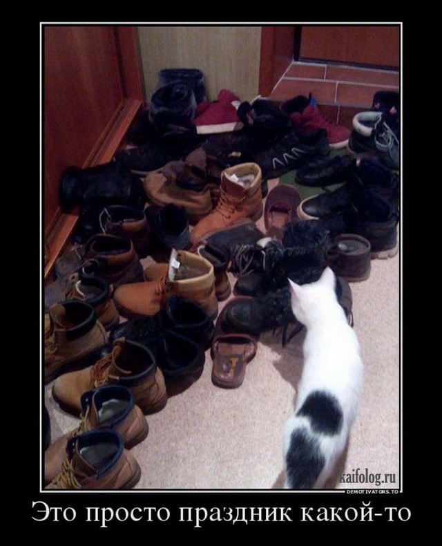 ������� ����� � ����