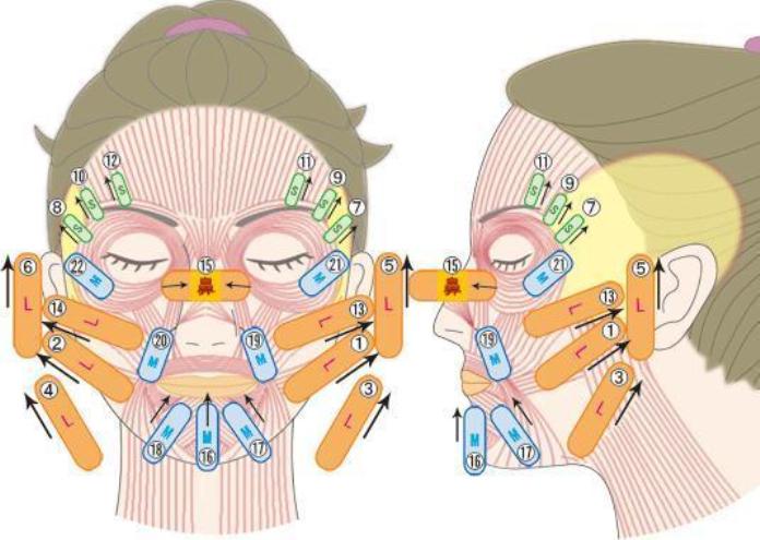 Тейпы глаза схема. Схема тейпирования носогубной складки. Схема тейпирования лица после 40 лет. Тейпинг лица схема. Тейпирование лица схемы.