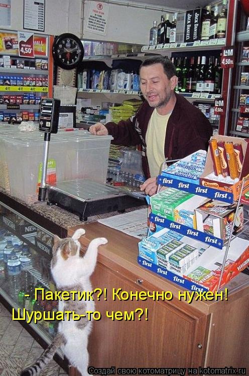 Свежая котоматрица для позитива (19 фото)
