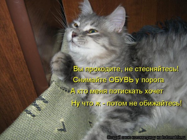 Мысли вслух :)