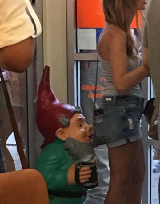 Подборка прикольных картинок  смешные картинки