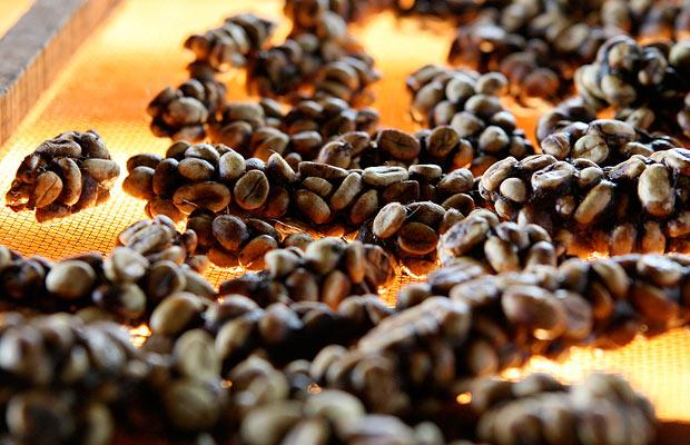 Как производят самый необычный кофе в мире