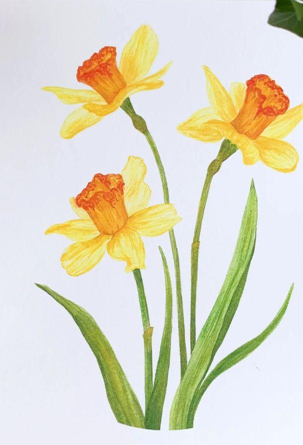 50+ идей рисунков на 8 марта: что можно нарисовать к празднику с детьми нарисовать, гуашь, кисть, несколько, можно, чтобы, Затем, цвета, краску, нужно, кисточку, рисунок, немного, фломастеры, затем, нарисуйте, помощью, картон, сделать, использовать