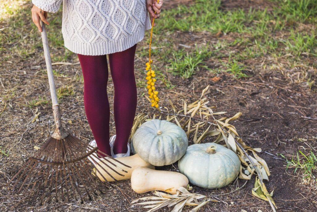 Не навреди: почему осенняя уборка в саду может быть опасной