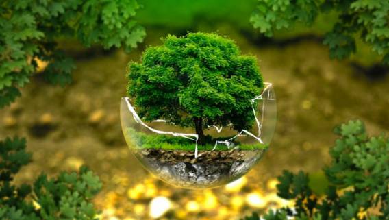 Эксперты: «Гринпис под предлогом защиты природы препятствует развитию российской экономики» Общество