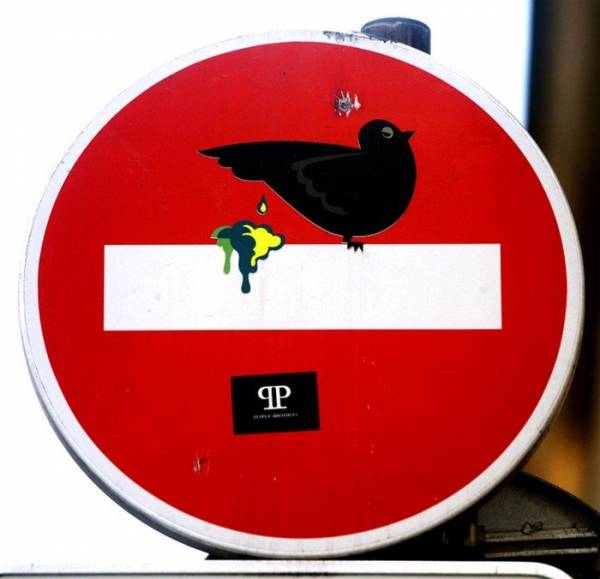 Чтоб водитель не грустил Чтоб водитель не грустил отдых