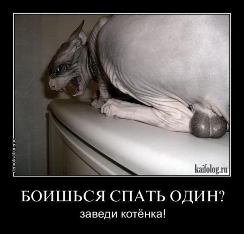 http://mtdata.ru/u9/photo4DD6/20405745363-0/original.jpg