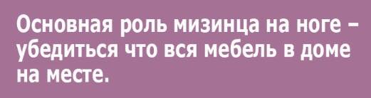Вот бы снег так же быстро таял как мои деньги анекдоты