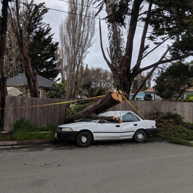 Фотоподборка среды Фотоподборка среды