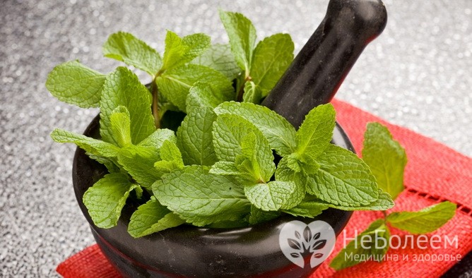 Домашние средства, помогающих при желчнокаменной болезни: сборы лекарственных трав 